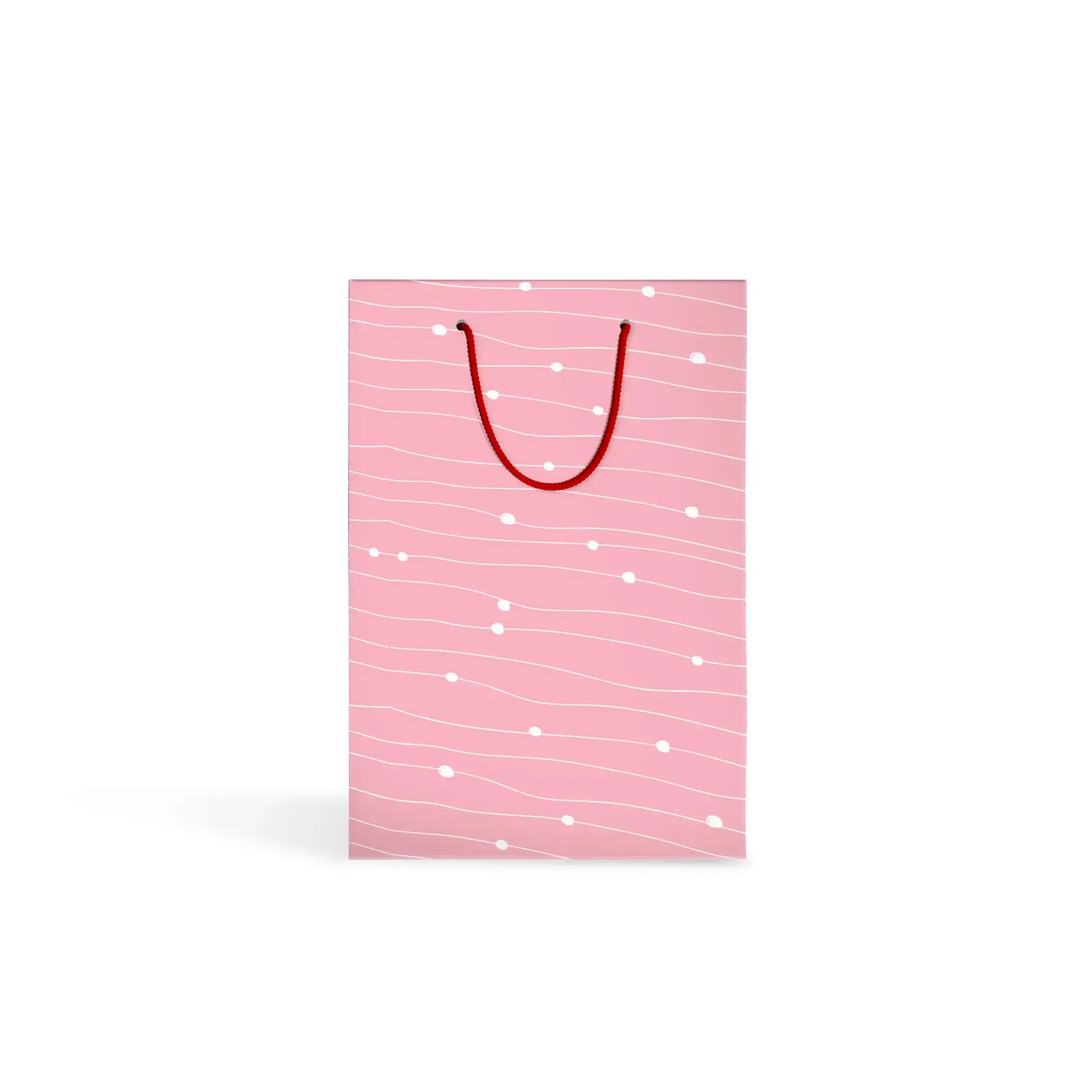 Gift bag (17x21cm)