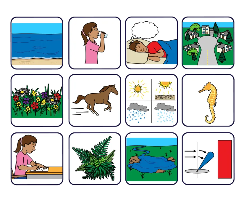 Picture Communication Symbols (PCS)