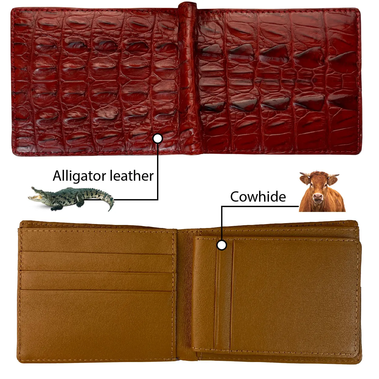 Red Alligator Tail Leather Bifold Wallet For Men RFID Blocking | VINAM-103